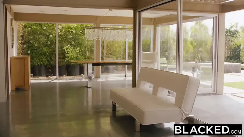 黑色的 家 單獨 性感的 青少年 拉丁 掛鉤 與 英國廣播公司