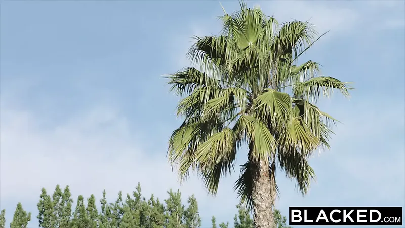 Blacked Tiny Teen 在 18 歲生日時獲得 BBC：免費色情 e1