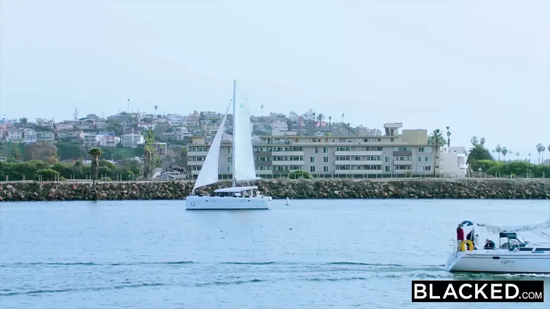 Blacked Brandi Love 渴望 BBC 假期，色情 24: