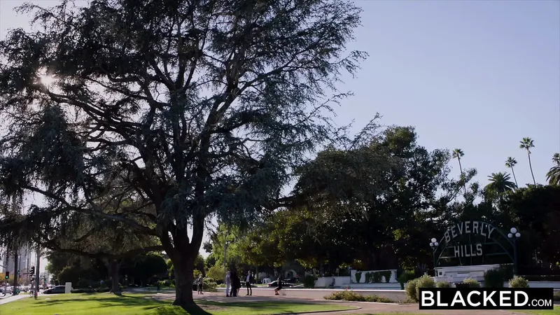 塗黑這不是關於她想要的錢