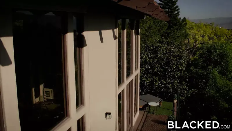 Blacked – 金發猩紅鼠尾草的第一個大黑公雞