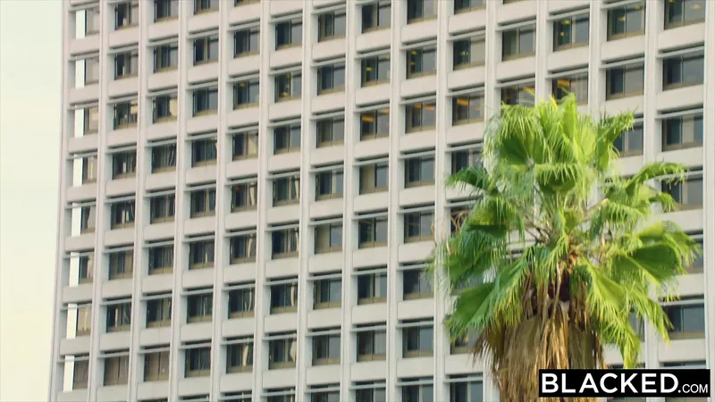 塗黑這個白人讓我操他的妻子來付錢給他