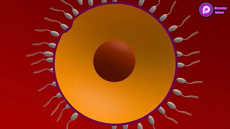 12 月第 6 天 Sfm 和 Blender 色情彙編：免費色情 36