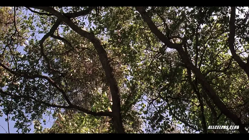 Debi Sue Voorhees 在 13 號星期五是一個新的開始……